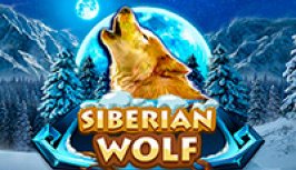 Siberian Wolf (Военный волк)