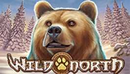 Wild North (Дикий Север)