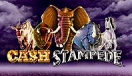Cash Stampede (Наличный штамп)