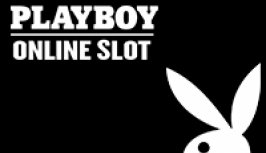 Playboy (плейбой)